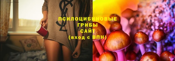 соль ск Богородск